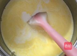 芒果冰淇淋的做法图解3