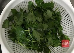 罗勒番茄汤的做法图解4