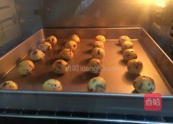 蔓越莓椰蓉酥的做法图解12