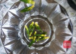 莲芯苦茶的做法图解5