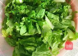 清炒毛毛菜的做法图解1