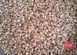 冬瓜猪骨汤的做法图解5