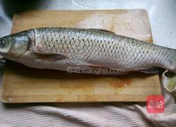 番茄溜鱼片的做法图解1