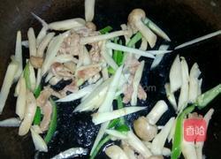 嫩姜炒茶树菇的做法图解4