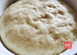 羊肉南瓜包子的做法图解5