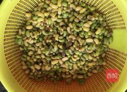 凉拌嫩饭豆的做法图解4