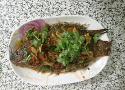 食材菜谱图