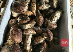 松茸鸡汤的做法图解2