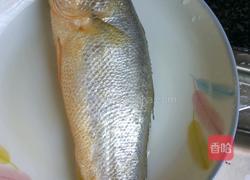 香煎黄鱼的做法图解1