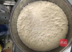 香菇圆白菜虾米包子的做法图解1