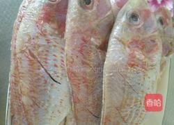 红烧海杂鱼的做法图解2