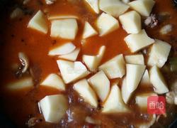 家常大盘鸡五香的做法图解8