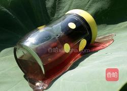 酸甜紫苏汁的做法图解9