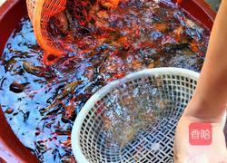 啤酒小龙虾的做法图解1