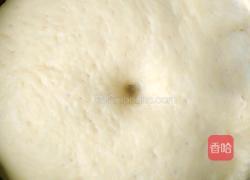 奶黄馅小餐包的做法图解11