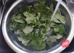 蒜蓉番薯叶的做法图解1