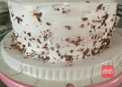 Cream Cake Illustration 7