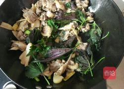 紫苏闷鸭的做法图解6