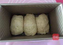 淡奶油全麦土司的做法图解9