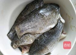 如何做出营养奶白的鲫鱼汤的做法图解1