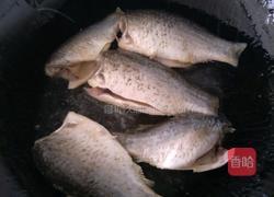 如何做出营养奶白的鲫鱼汤的做法图解2