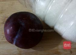 李子蜜酱的做法图解1