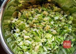 包菜虾皮猪肉饺子的做法图解2