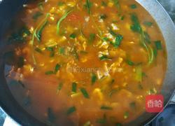 烩麻食(刀削面)版的做法图解14