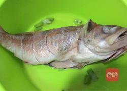 红烧太平洋红鱼的做法图解1