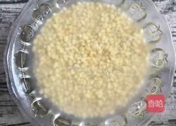 绿豆糕的做法图解4