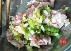 猪肉包菜馅包子的做法图解6