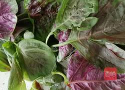 美人椒炒红苋菜的做法图解1