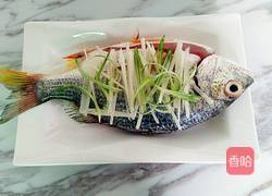 清蒸黄鳍鲷的做法图解4