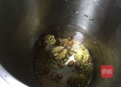 花生核桃豆浆的做法图解4