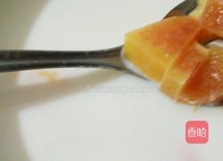 木瓜炖奶的做法图解8