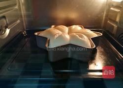 芝士火腿面包的做法图解8