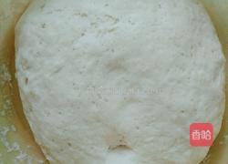 胡萝卜肉馅包子的做法图解1