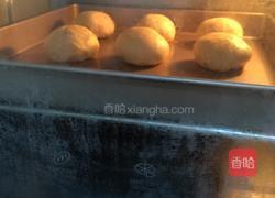 汉堡胚的做法图解9