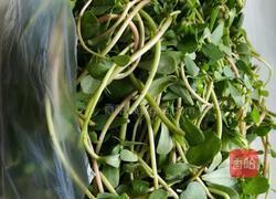 马齿苋肉包子的做法图解1