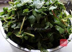 马齿苋肉包子的做法图解4