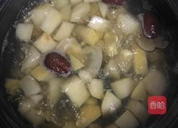 海底椰雪梨糖水的做法图解6