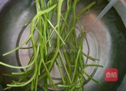 辣椒炒空心菜的做法图解1