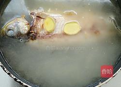 鲫鱼豆腐汤的做法图解7