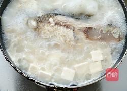 鲫鱼豆腐汤的做法图解9