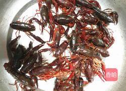 香辣小龙虾的做法图解5