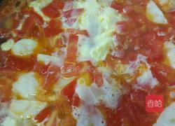 西红杮蛋花汤的做法图解4