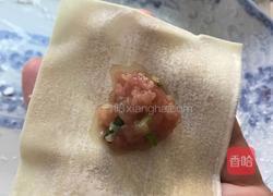 鲜肉馄饨(早饭、点心均可)的做法图解5