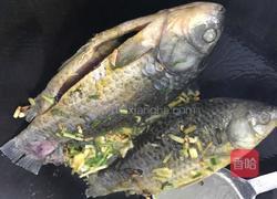 西红柿鲫鱼汤的做法图解3