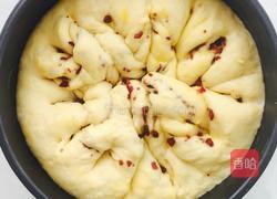 蔓越莓面包(手揉面)的做法图解7