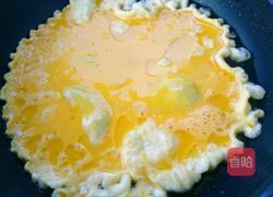 西红柿鸡蛋饺子的做法图解4